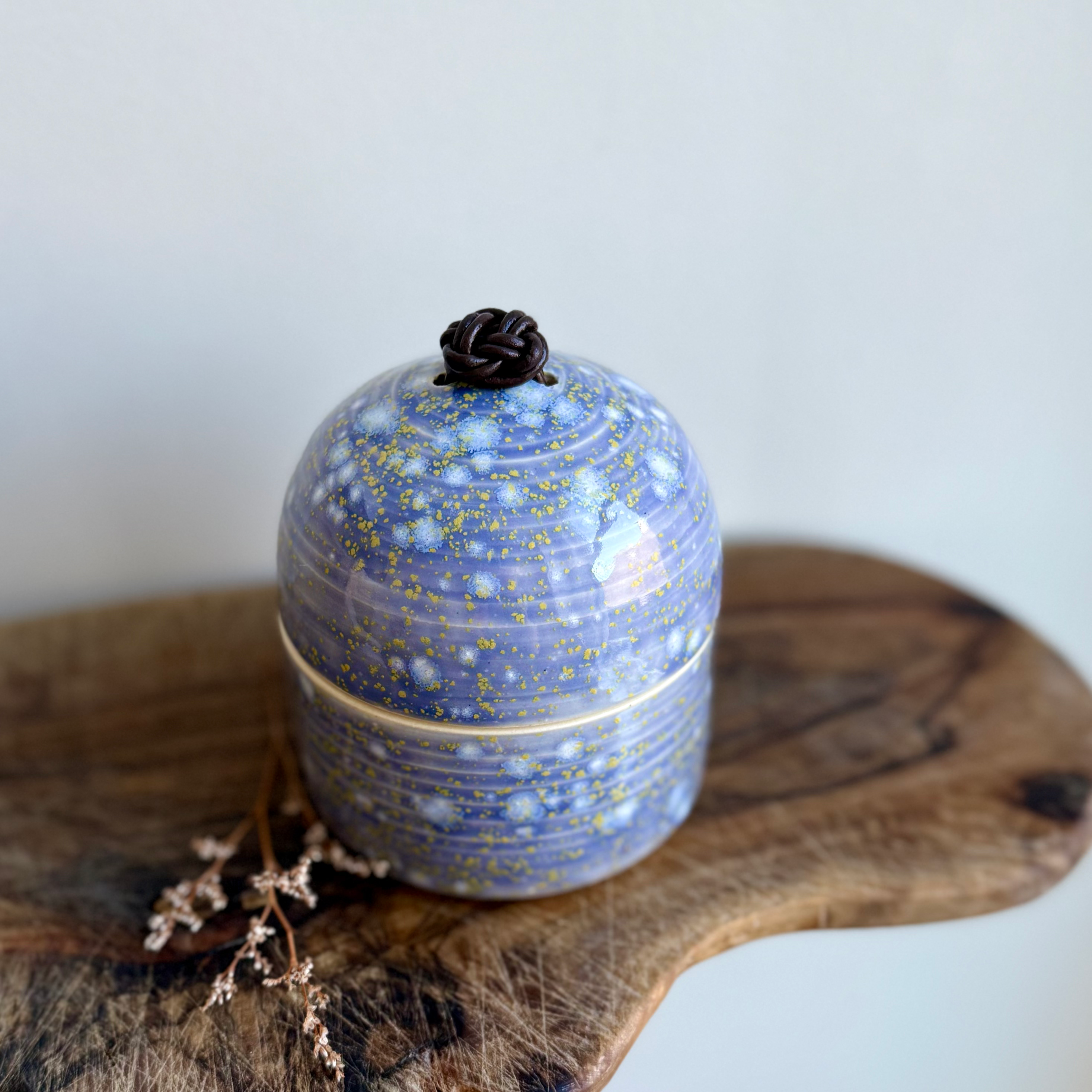 Salt Cellar/Lidded Pot