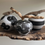 Thumbnail: Wabi Sabi Style Salt Cellar/Lidded Pot