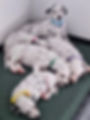 1000018167.jpg