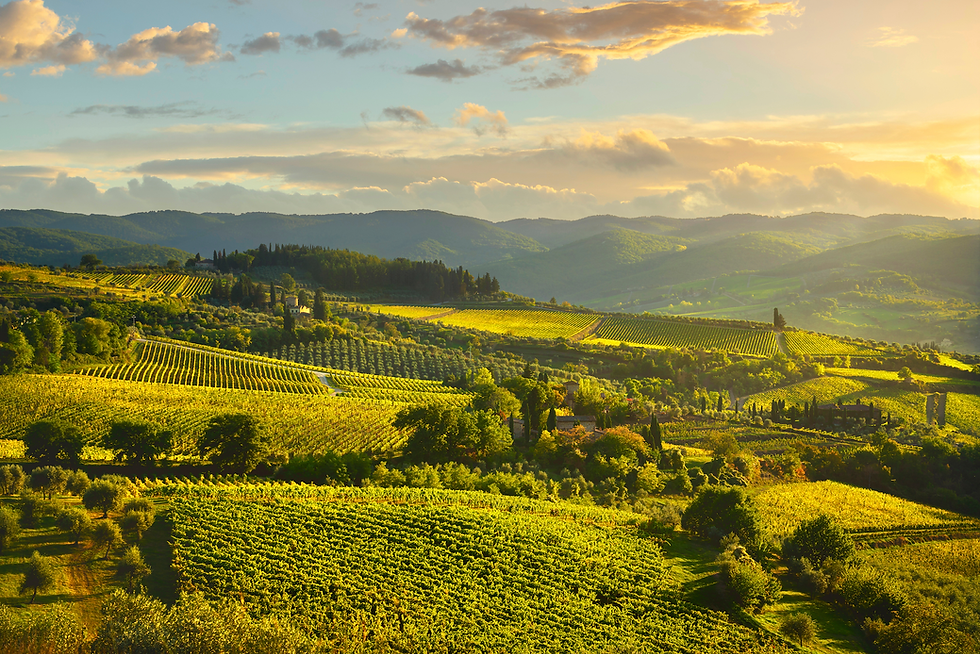 Explore the Chianti Region from Florence: Tours, Villages, and Wine Tastings with Mazzini34Collection