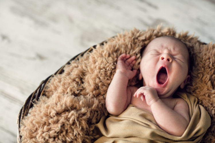 Should You Wake a Sleeping Baby? A Guide to Managing Sleep Schedules