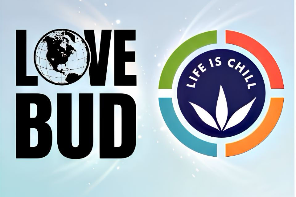 Life Is Chill cannabis products displayed in a modern lifestyle setting, highlighting premium Arizona cannabis available through LoveBud.
