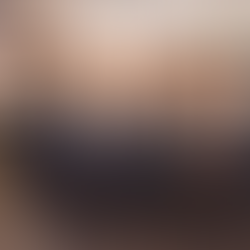 La democracia vive del voto, la alternancia en el mando político, el equilibrio de poderes y del respeto a la investidura presidencial 