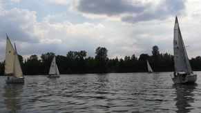 Senior's cup