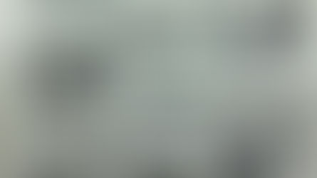 Assemblée Générale