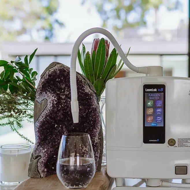 enagic-kangen-water-machine.webp