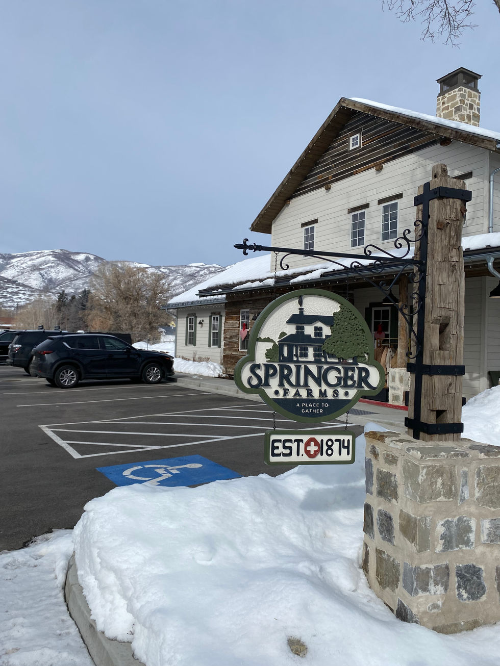 Springer Village - Midway, UT