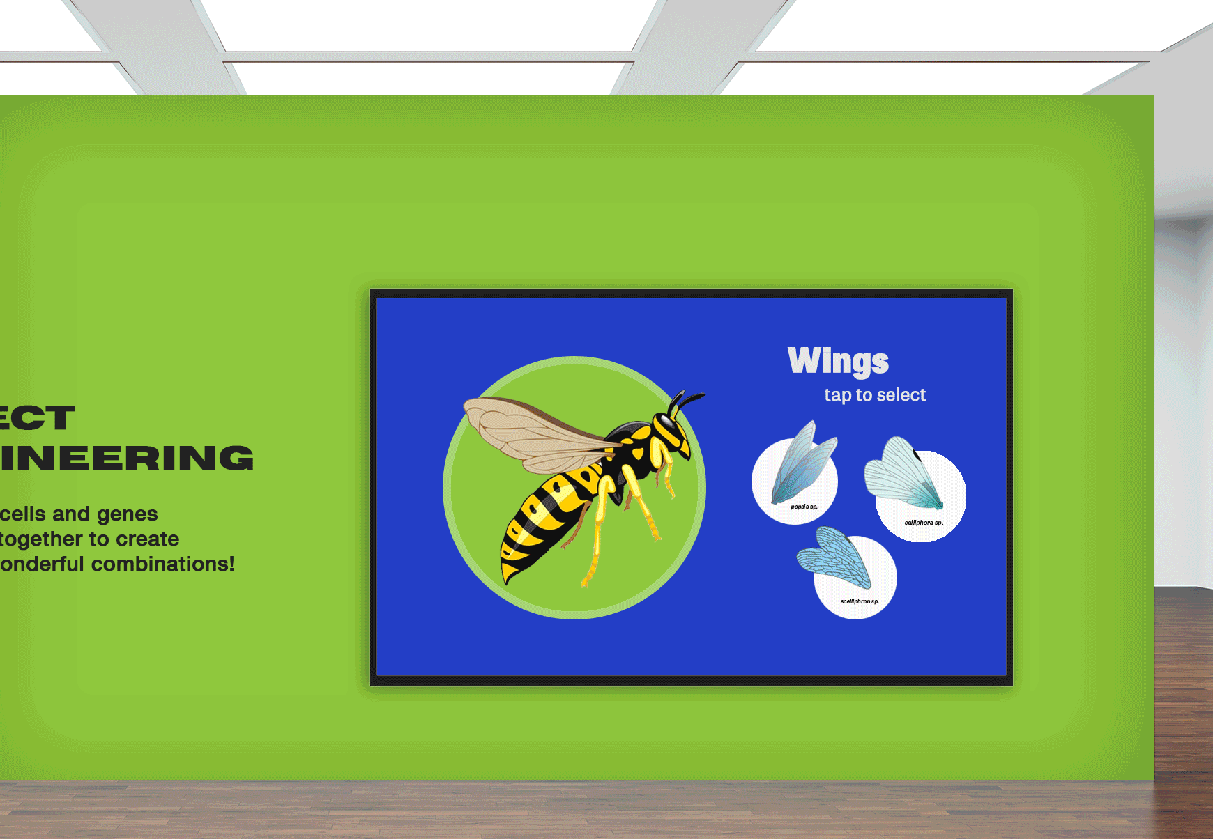 bugs_gif (1).gif