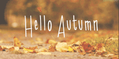 SO CLOSE, I CAN SMELL THE PUMPKIN SPICE!