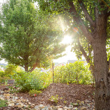 What's on @Treeview in July
