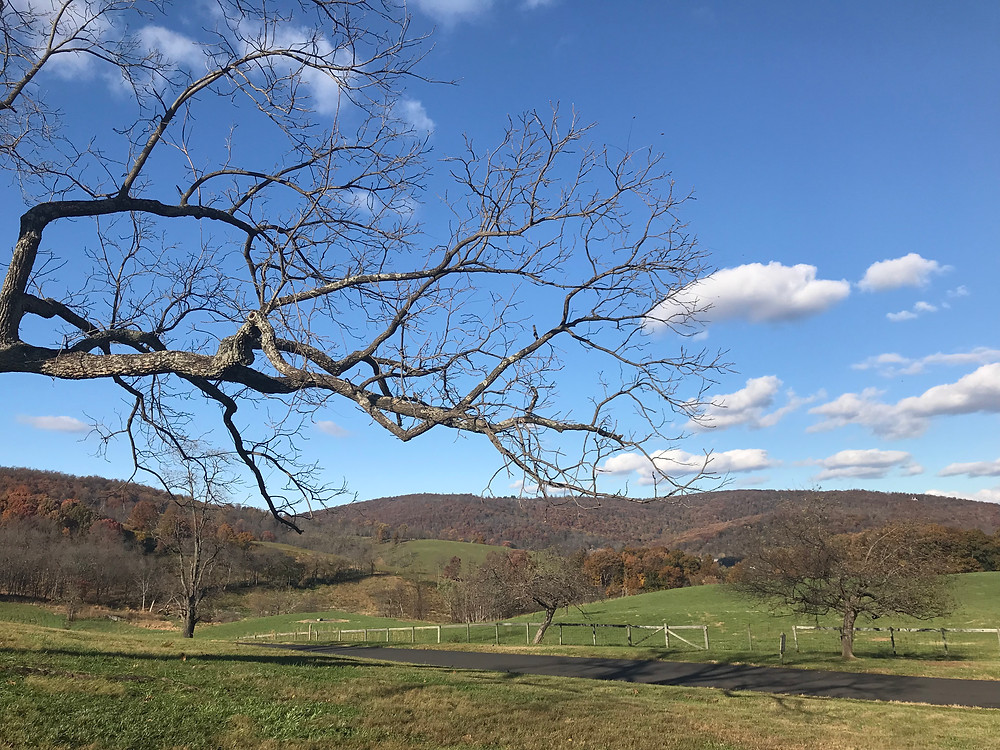 Sky Meadows National Park, Virginia
