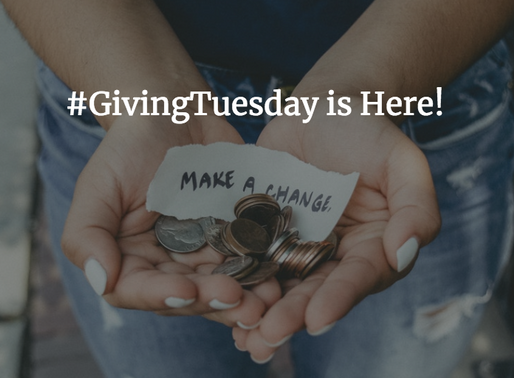 Sophia's Top #GivingTuesday Picks