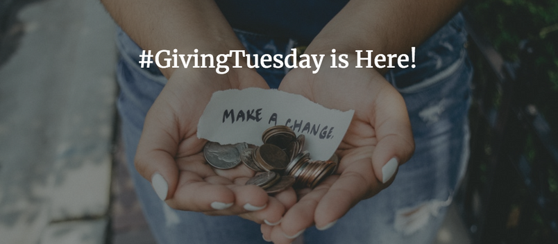 Sophia's Top #GivingTuesday Picks