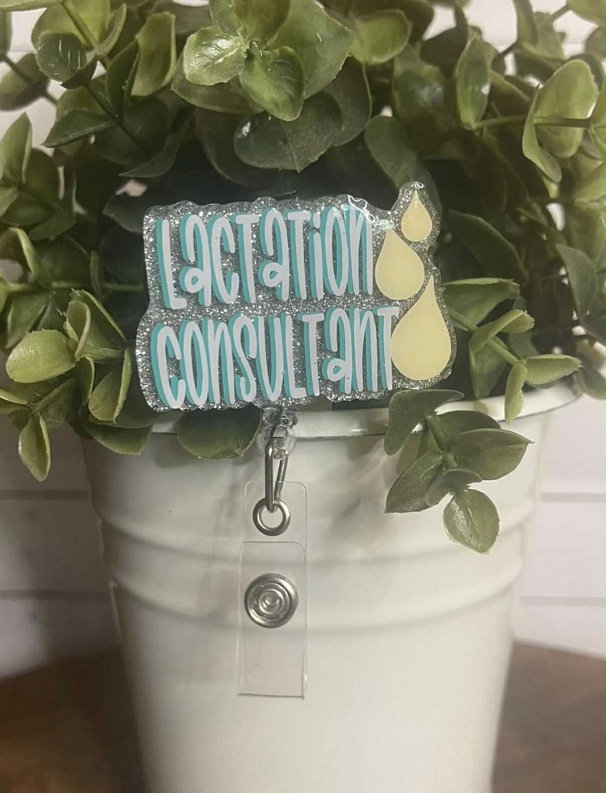 Lactation Consultant