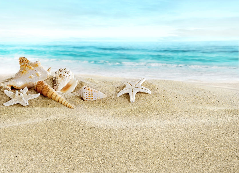 beach2.jpg