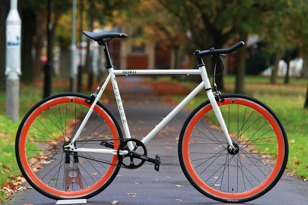 Steel frame single speed bikes Goku Cycles