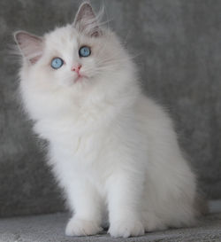 DAKOTA