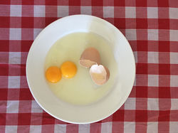 FullSizeRender[1112]