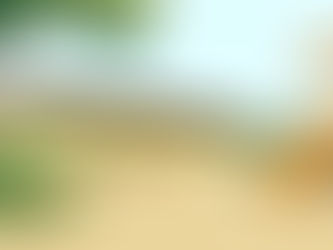 Reward Manager - a kids' explainer video