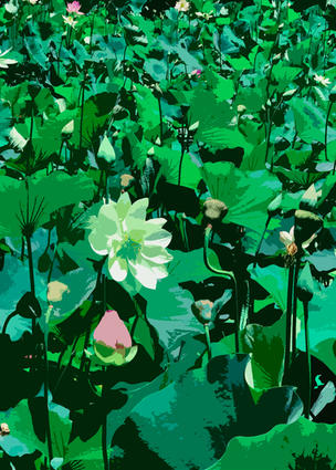 Echo Park Lotus 2