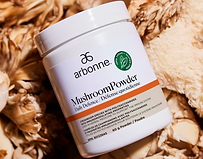 Screen Shot 2023-12-14 at 12.58.30 PM.png