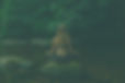 OYP_bilete_filter.jpg