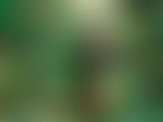 💡 Creative Differences: Why Creativity Hates Being Asked 🌪️🧠💭