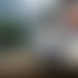 安裝太陽能路燈及滅蚊燈