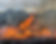 Burn0.jpg