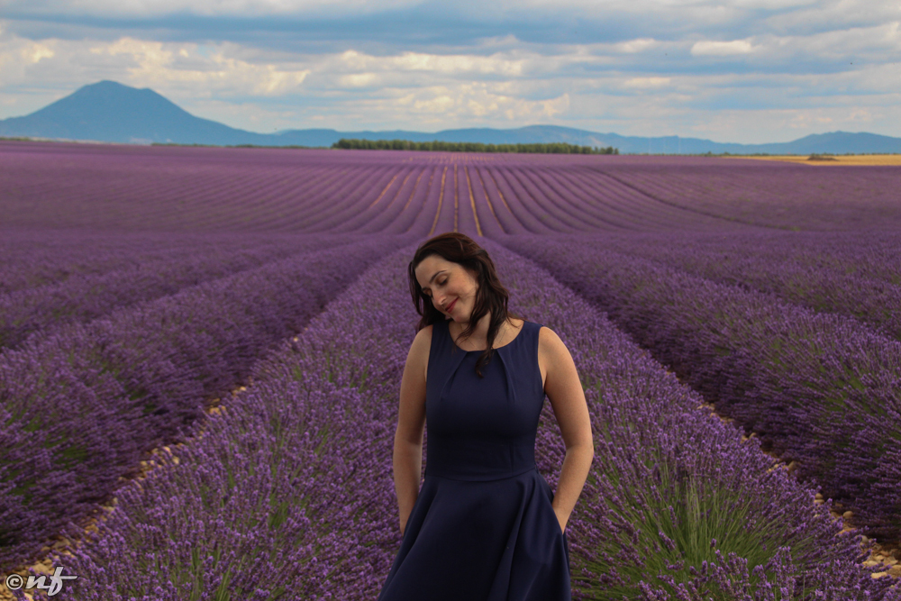 Campo de Lavanda