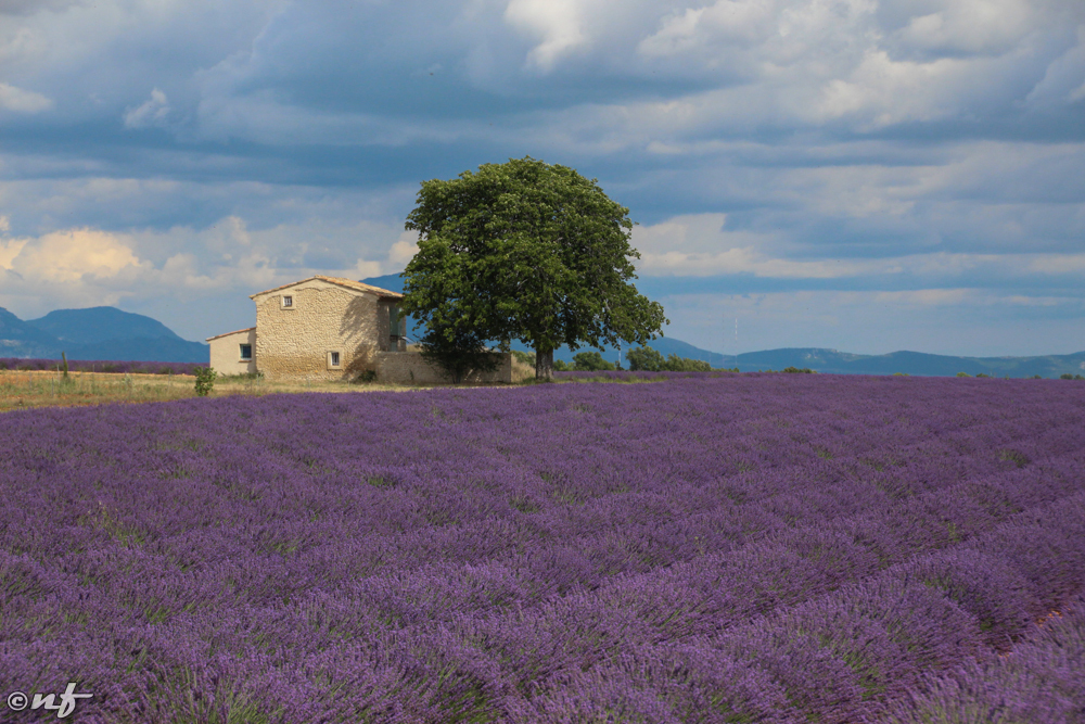 Provence, França
