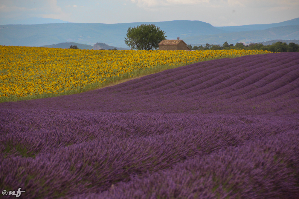 Provence, França