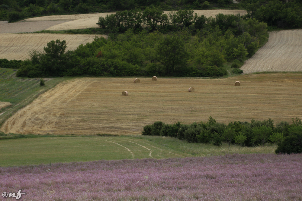 Provence, França