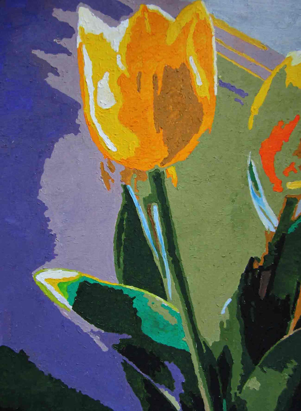 Tulips