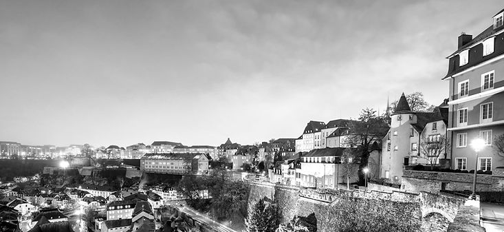 Skyline of old town Luxembourg City from top view in Luxembourg_edited_edited.jpg