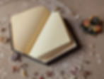 Thumbnail: Handmade Wicked-Inspired Spellbook – Two-Volume Grimmerie Replica – A4 Size