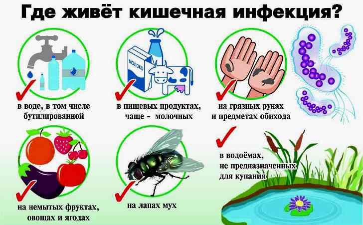 269d92d0fc726c483dba19ccce95d6c4