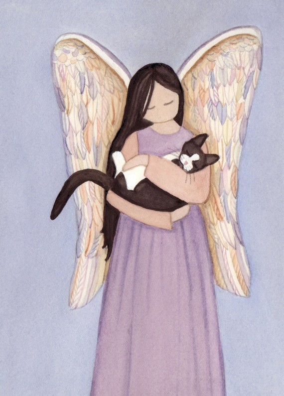 angel cat