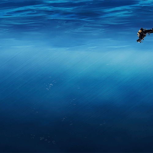 shark.gif