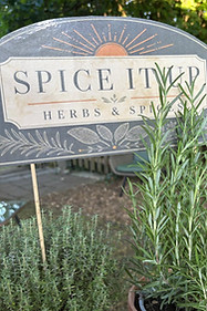 spice it up neu.jpeg