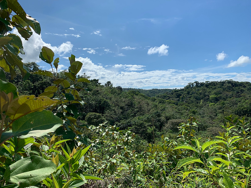 our paradise in Costa Rica
