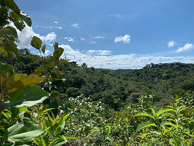 IMG_3835.jpeg