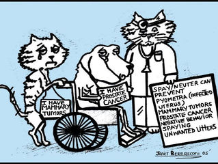 The Spay and Neuter Chronicals