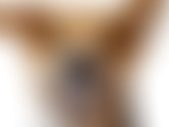 Million Dollar Smile