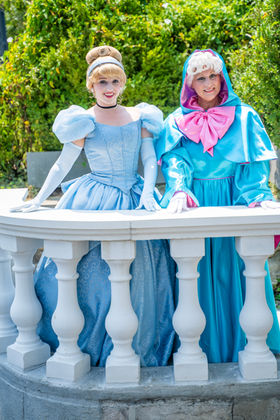 Royal Events Princess Parties Fairy Godmother