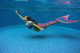Royal Events Princess Parties Mermaid