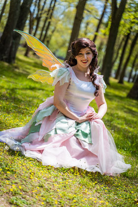 Royal Events Princess Parties Fairy
