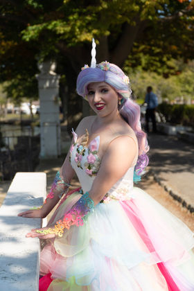 Royal Events Princess Parties Unicorn