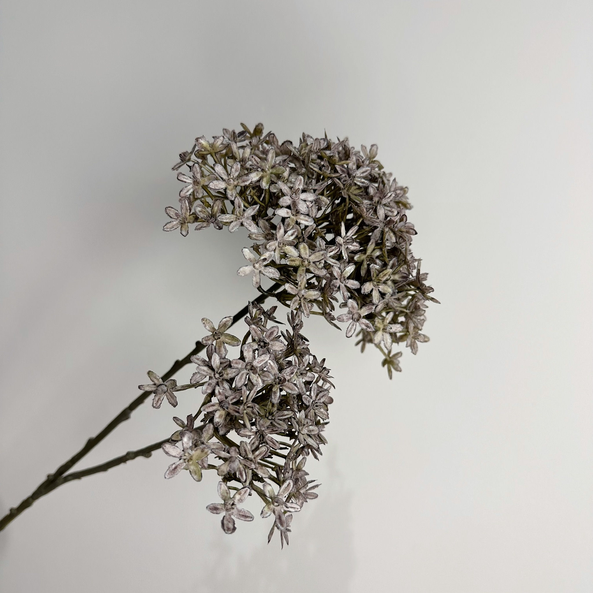Lilac / Purple Crown Flower Spray 70cm