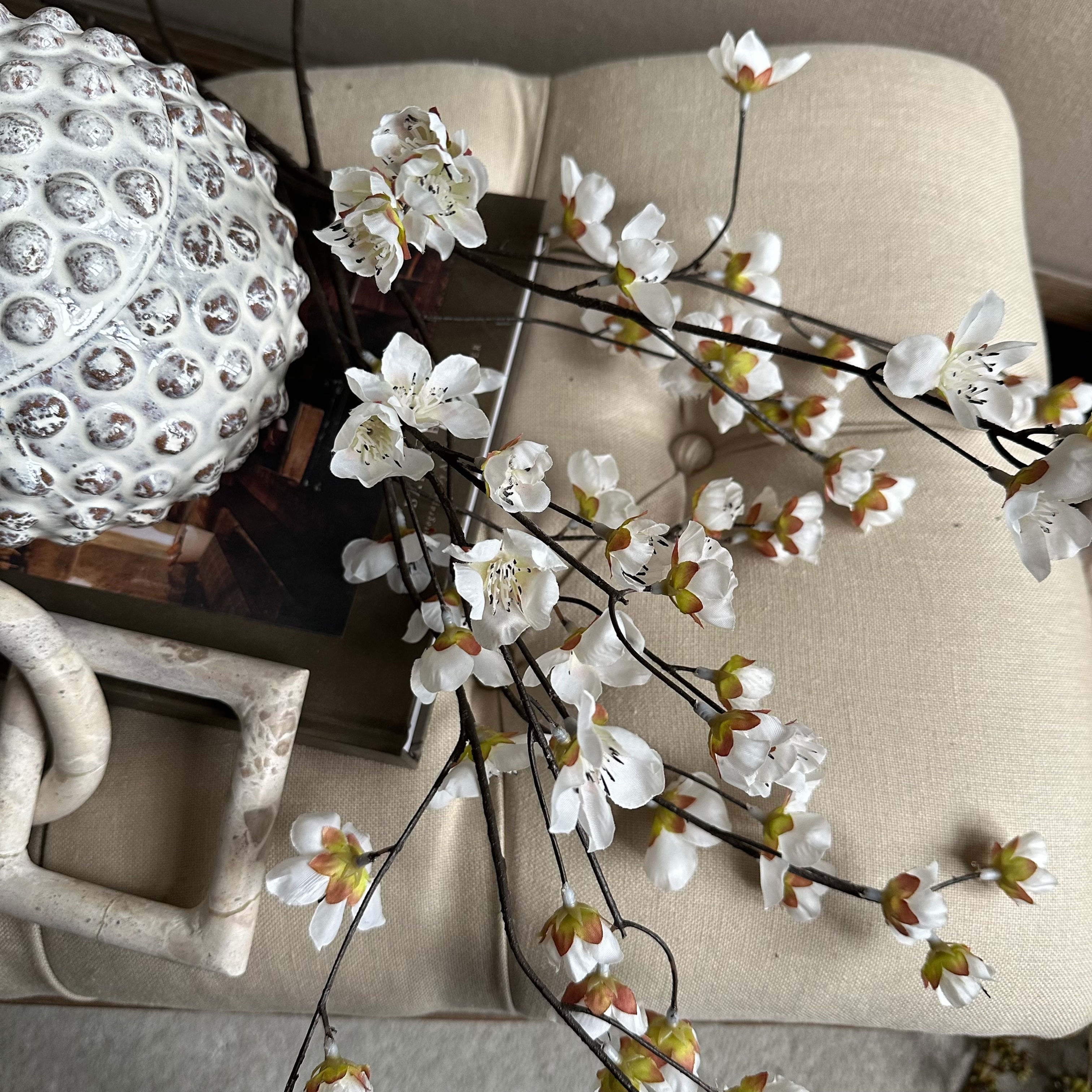 Japanese Cherry Blossom